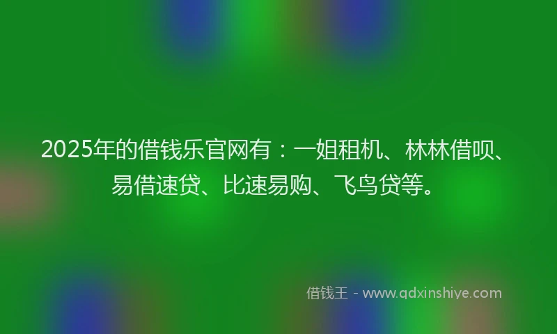 2025年的借钱乐官网有:一姐租机、林林借呗、易借速贷、比速易购、飞鸟贷等。