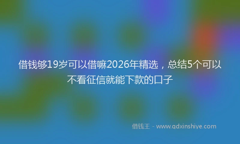 借钱够19岁可以借嘛2026年精选，总结5个可以不看征信就能下款的口子