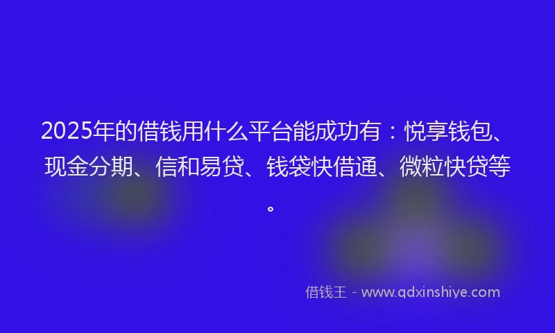 2025年的借钱用什么平台能成功有：悦享钱包、现金分期、信和易贷、钱袋快借通、微粒快贷等。