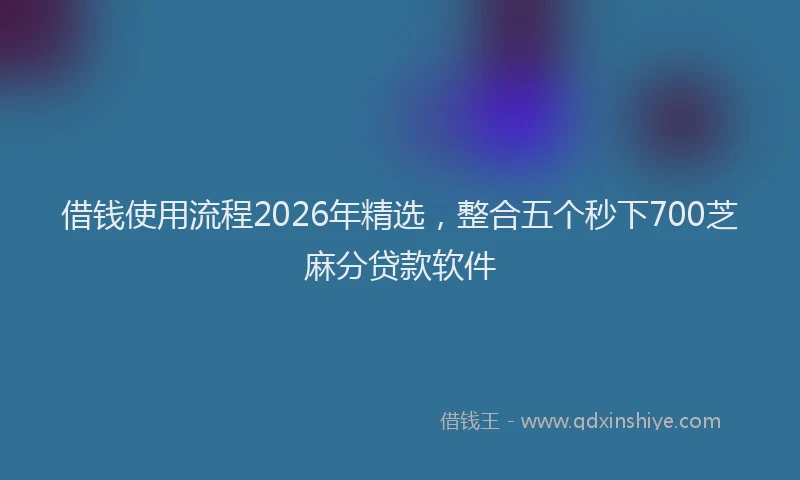 借钱使用流程2026年精选，整合五个秒下700芝麻分贷款软件