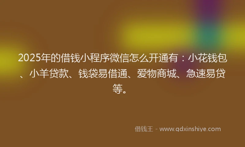 2025年的借钱小程序微信怎么开通有：小花钱包、小羊贷款、钱袋易借通、爱物商城、急速易贷等。