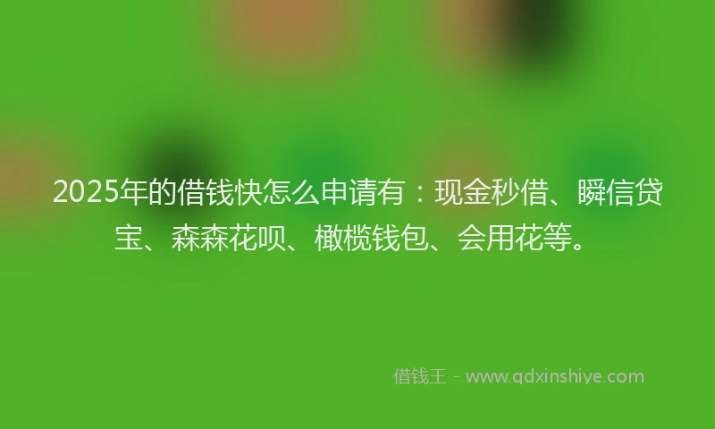 2025年的借钱快怎么申请有:现金秒借、瞬信贷宝、森森花呗、橄榄钱包、会用花等。
