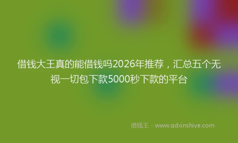 借钱大王真的能借钱吗2026年推荐，汇总五个无视一切包下款5000秒下款的平台