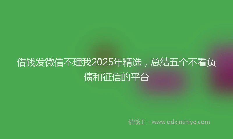 借钱发微信不理我2025年精选，总结五个不看负债和征信的平台