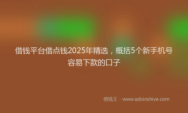 借钱平台借点钱2025年精选，概括5个新手机号容易下款的口子