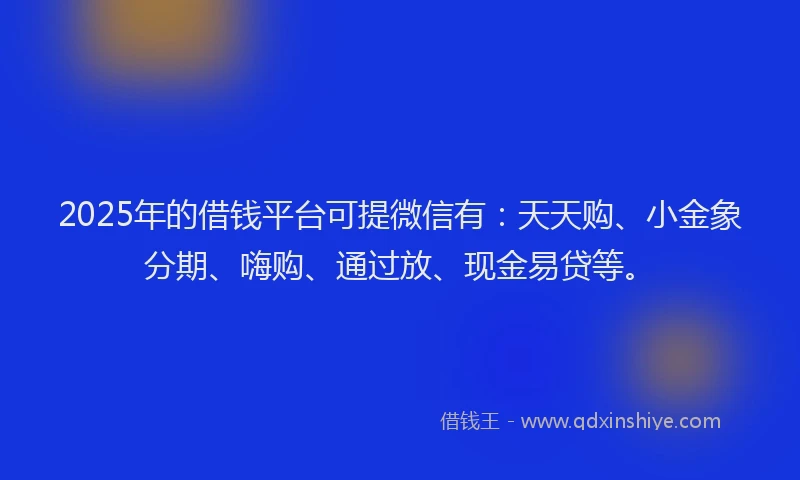 2025年的借钱平台可提微信有：天天购、小金象分期、嗨购、通过放、现金易贷等。