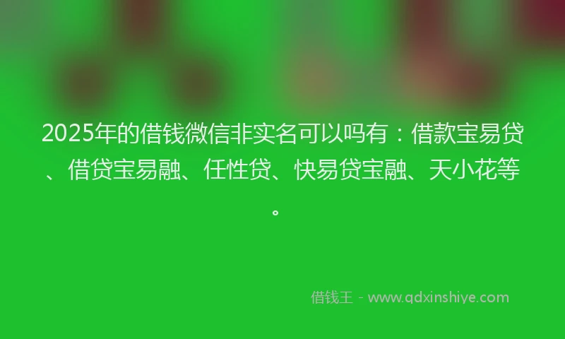2025年的借钱微信非实名可以吗有：借款宝易贷、借贷宝易融、任性贷、快易贷宝融、天小花等。