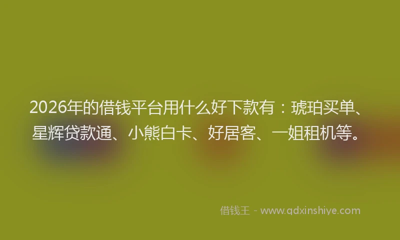 2026年的借钱平台用什么好下款有：琥珀买单、星辉贷款通、小熊白卡、好居客、一姐租机等。