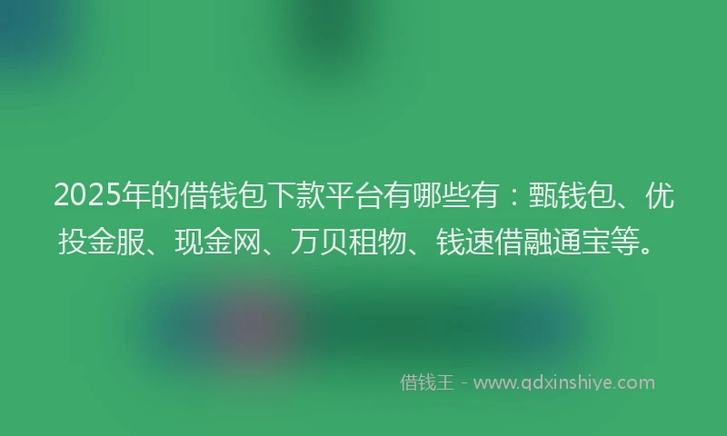 2025年的借钱包下款平台有哪些有：甄钱包、优投金服、现金网、万贝租物、钱速借融通宝等。