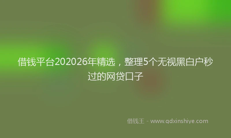借钱平台202026年精选，整理5个无视黑白户秒过的网贷口子