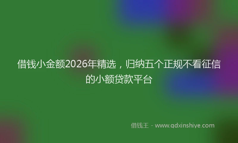 借钱小金额2026年精选,归纳五个正规不看征信的小额贷款平台