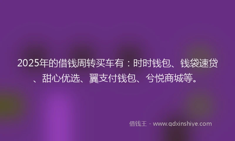2025年的借钱周转买车有：时时钱包、钱袋速贷、甜心优选、翼支付钱包、兮悦商城等。
