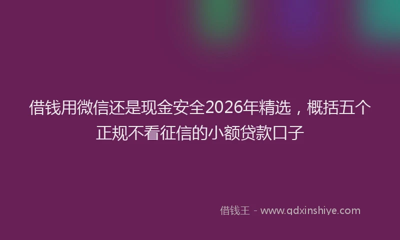 借钱用微信还是现金安全2026年精选，概括五个正规不看征信的小额贷款口子