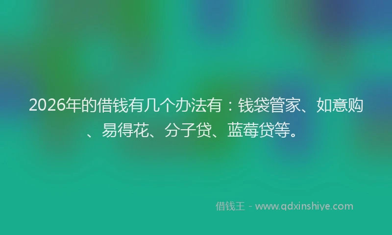 2026年的借钱有几个办法有:钱袋管家、如意购、易得花、分子贷、蓝莓贷等。