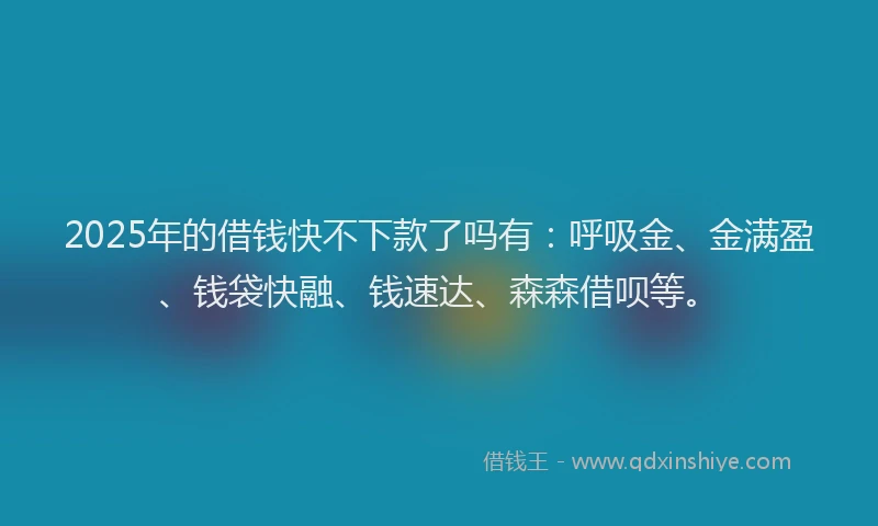 2025年的借钱快不下款了吗有：呼吸金、金满盈、钱袋快融、钱速达、森森借呗等。