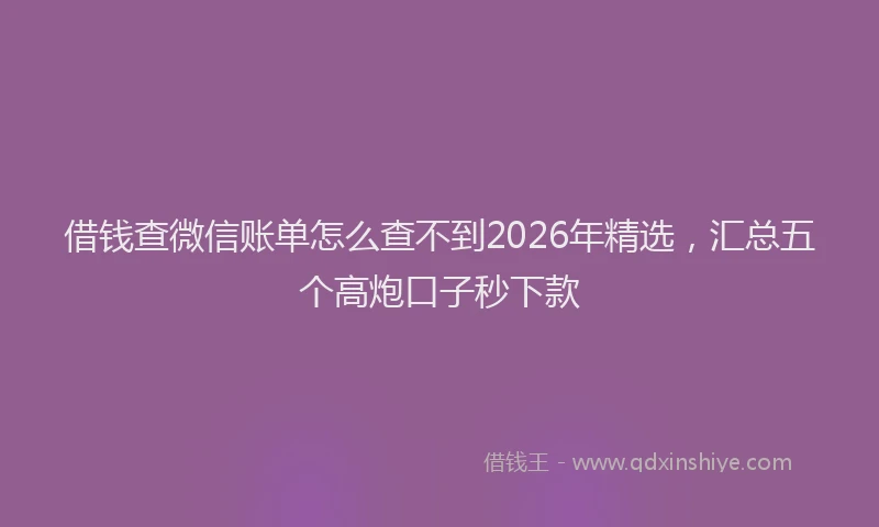 借钱查微信账单怎么查不到2026年精选，汇总五个高炮口子秒下款