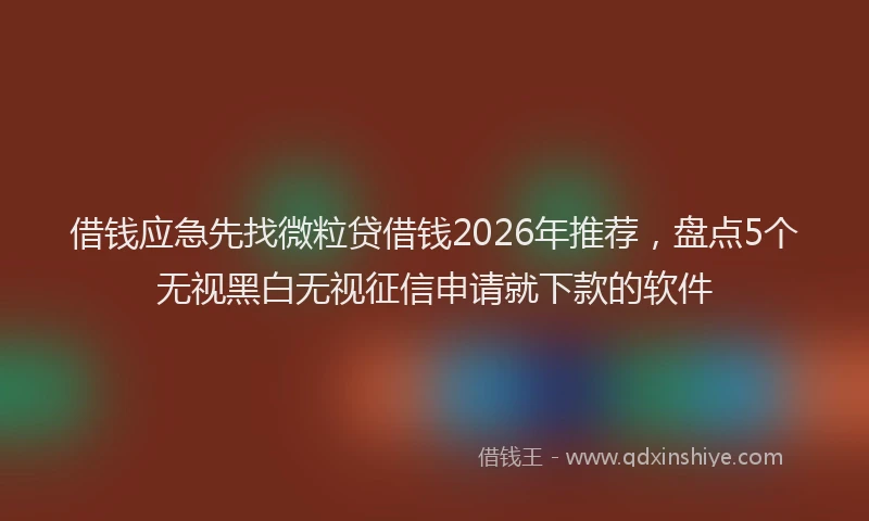 借钱应急先找微粒贷借钱2026年推荐，盘点5个无视黑白无视征信申请就下款的软件