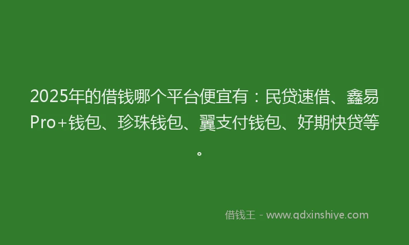 2025年的借钱哪个平台便宜有：民贷速借、鑫易Pro+钱包、珍珠钱包、翼支付钱包、好期快贷等。