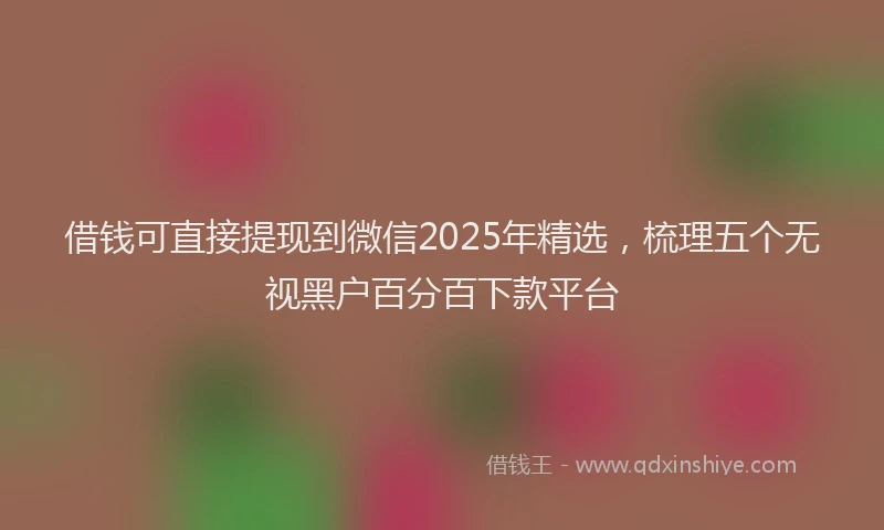 借钱可直接提现到微信2025年精选，梳理五个无视黑户百分百下款平台