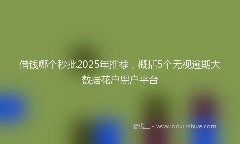 借钱哪个秒批2025年推荐，概括5个无视逾期大数据花户黑户平台