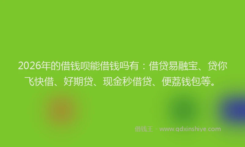 2026年的借钱呗能借钱吗有：借贷易融宝、贷你飞快借、好期贷、现金秒借贷、便荔钱包等。