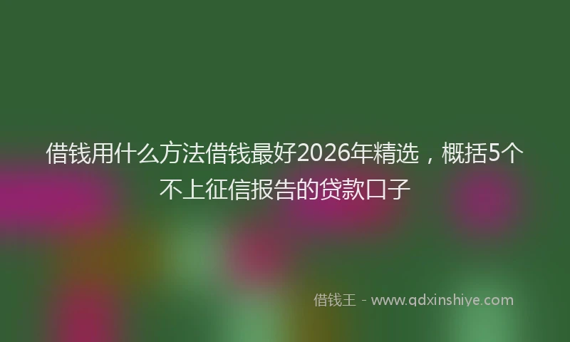 借钱用什么方法借钱最好2026年精选，概括5个不上征信报告的贷款口子