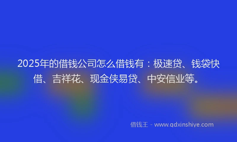 2025年的借钱公司怎么借钱有：极速贷、钱袋快借、吉祥花、现金侠易贷、中安信业等。
