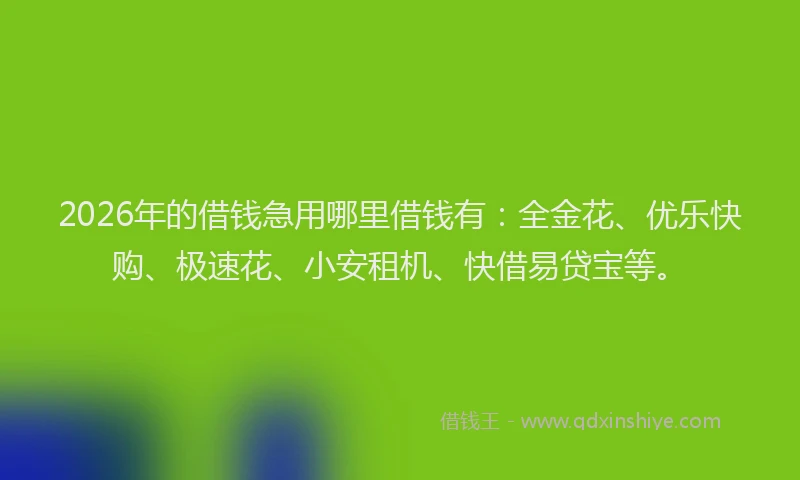 2026年的借钱急用哪里借钱有：全金花、优乐快购、极速花、小安租机、快借易贷宝等。