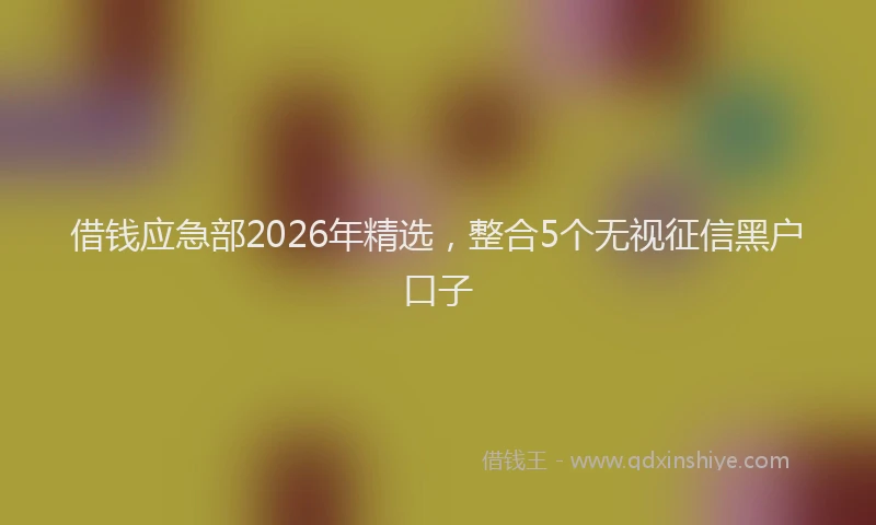 借钱应急部2026年精选，整合5个无视征信黑户口子