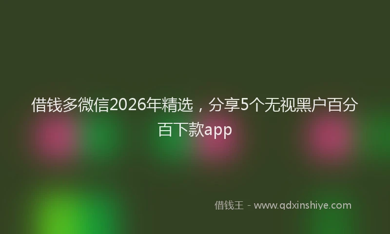 借钱多微信2026年精选，分享5个无视黑户百分百下款app