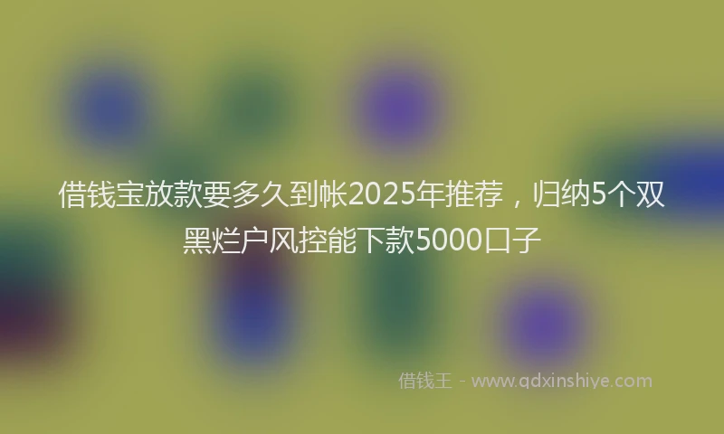 借钱宝放款要多久到帐2025年推荐,归纳5个双黑烂户风控能下款5000口子