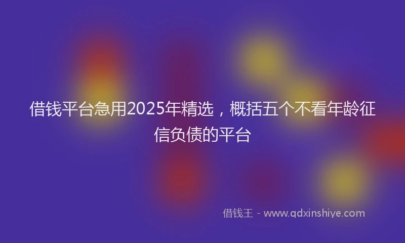 借钱平台急用2025年精选，概括五个不看年龄征信负债的平台