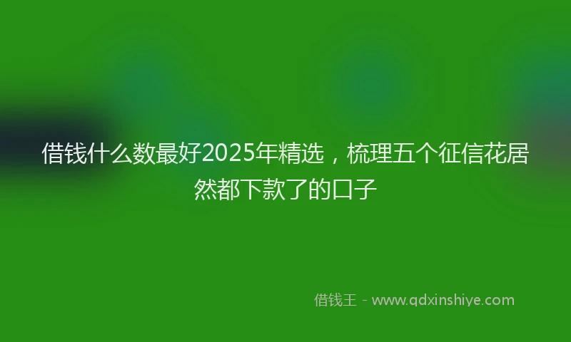 借钱什么数最好2025年精选，梳理五个征信花居然都下款了的口子