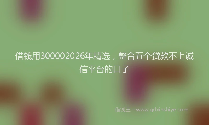 借钱用300002026年精选，整合五个贷款不上诚信平台的口子