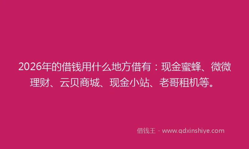 2026年的借钱用什么地方借有:现金蜜蜂、微微理财、云贝商城、现金小站、老哥租机等。