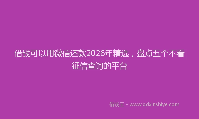 借钱可以用微信还款2026年精选，盘点五个不看征信查询的平台