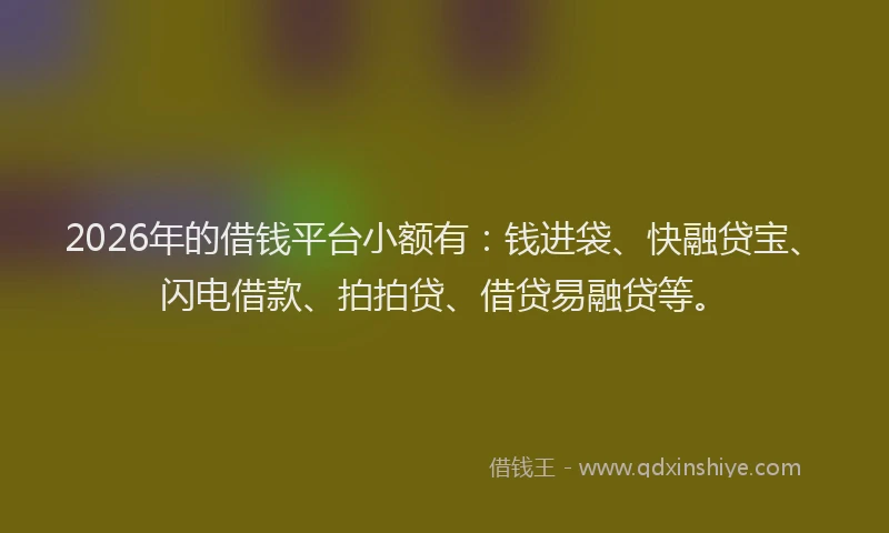 2026年的借钱平台小额有：钱进袋、快融贷宝、闪电借款、拍拍贷、借贷易融贷等。