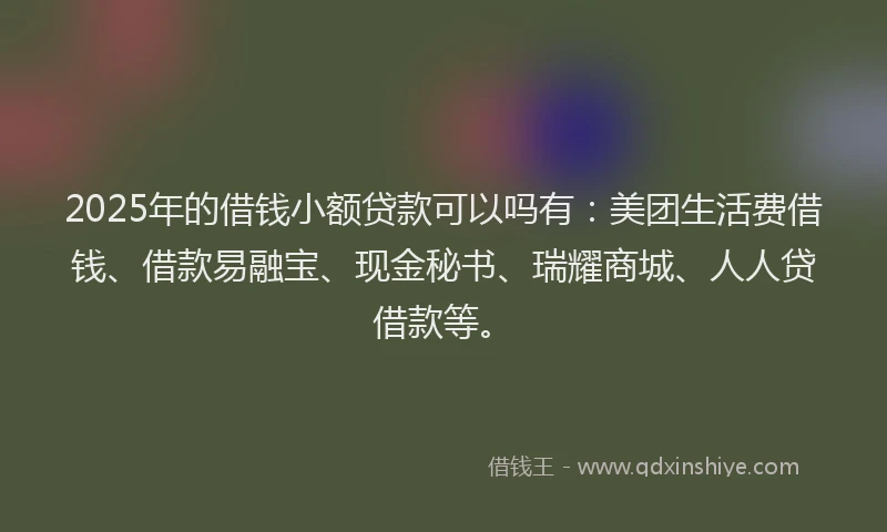 2025年的借钱小额贷款可以吗有：美团生活费借钱、借款易融宝、现金秘书、瑞耀商城、人人贷借款等。