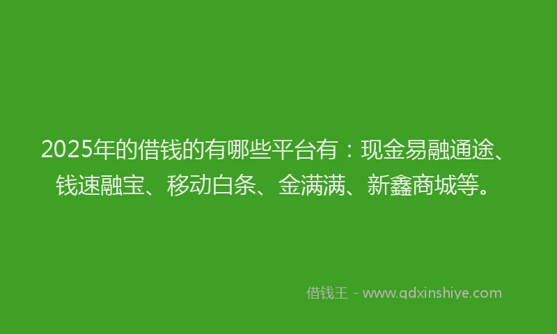 2025年的借钱的有哪些平台有:现金易融通途、钱速融宝、移动白条、金满满、新鑫商城等。