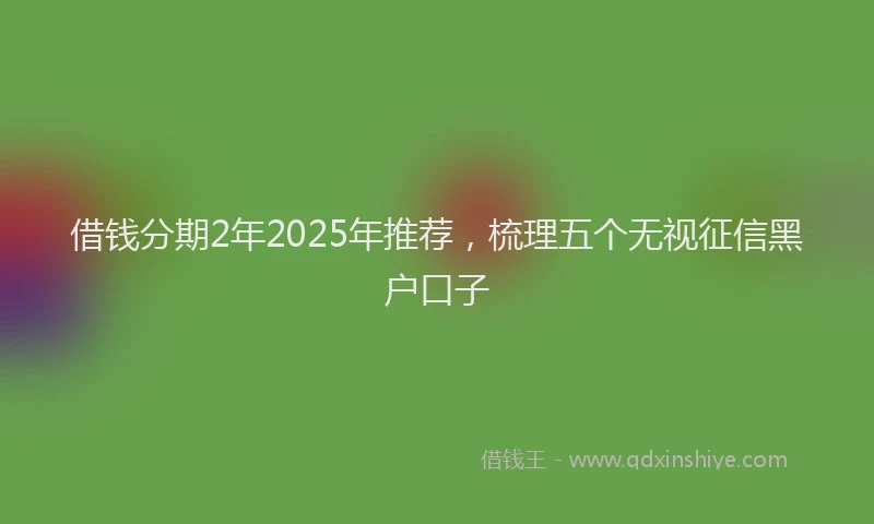 借钱分期2年2025年推荐，梳理五个无视征信黑户口子
