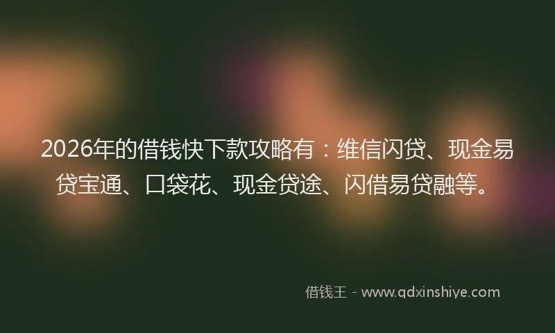 2026年的借钱快下款攻略有:维信闪贷、现金易贷宝通、口袋花、现金贷途、闪借易贷融等。