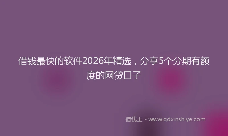 借钱最快的软件2026年精选，分享5个分期有额度的网贷口子