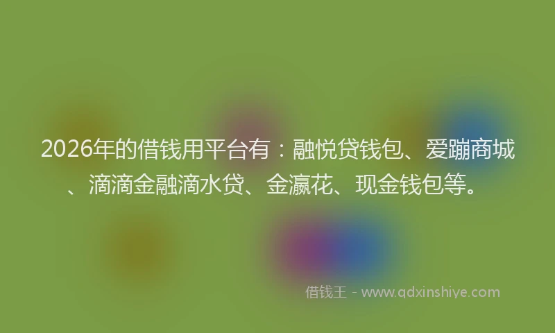 2026年的借钱用平台有：融悦贷钱包、爱蹦商城、滴滴金融滴水贷、金瀛花、现金钱包等。