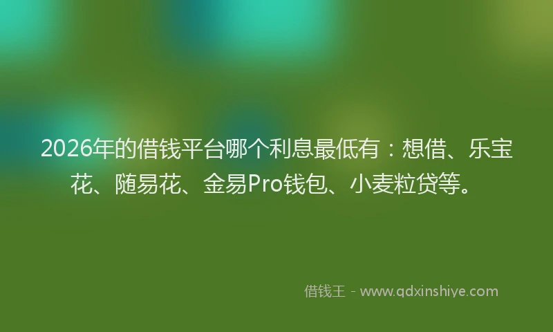 2026年的借钱平台哪个利息最低有：想借、乐宝花、随易花、金易Pro钱包、小麦粒贷等。