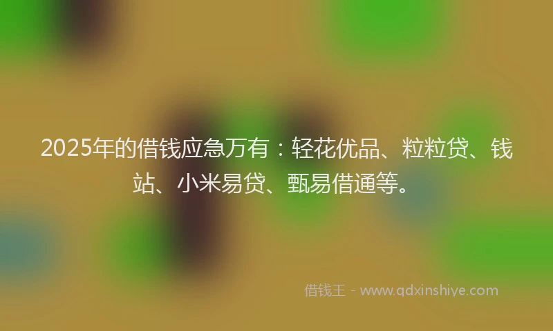 2025年的借钱应急万有：轻花优品、粒粒贷、钱站、小米易贷、甄易借通等。