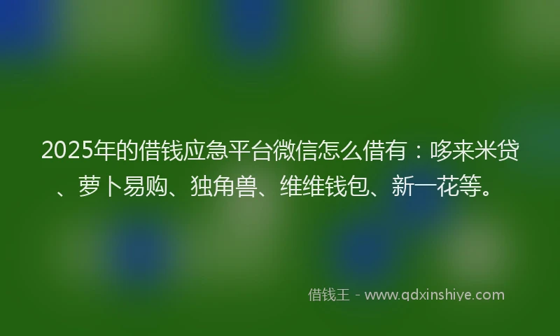 2025年的借钱应急平台微信怎么借有：哆来米贷、萝卜易购、独角兽、维维钱包、新一花等。