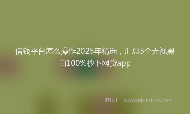 借钱平台怎么操作2025年精选，汇总5个无视黑白100%秒下网贷app
