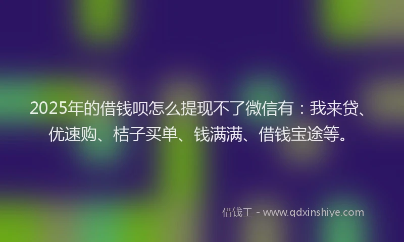 2025年的借钱呗怎么提现不了微信有：我来贷、优速购、桔子买单、钱满满、借钱宝途等。