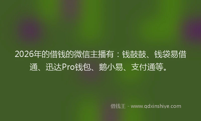 2026年的借钱的微信主播有：钱鼓鼓、钱袋易借通、迅达Pro钱包、鹅小易、支付通等。