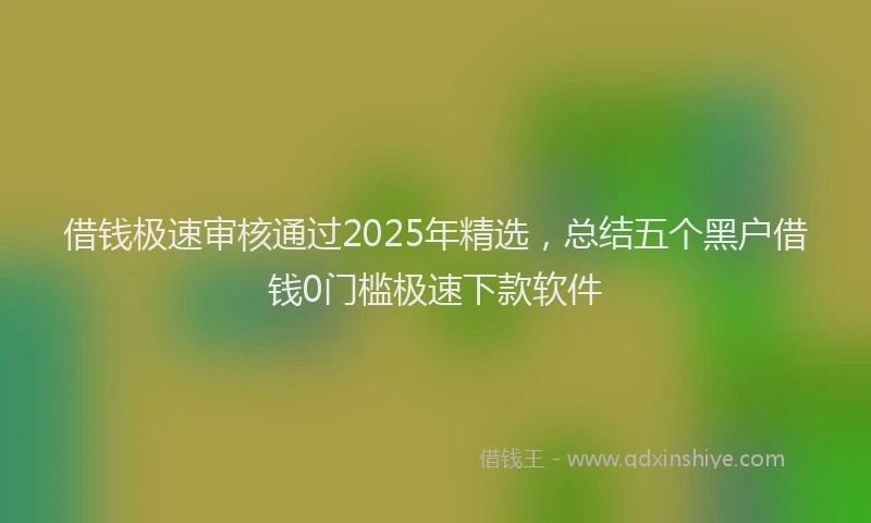 借钱极速审核通过2025年精选，总结五个黑户借钱0门槛极速下款软件